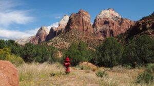 Zion.- Utah - USA